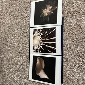 Melissa Springer Art Prints